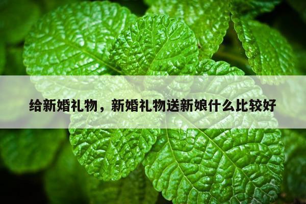 给新婚礼物，新婚礼物送新娘什么比较好
