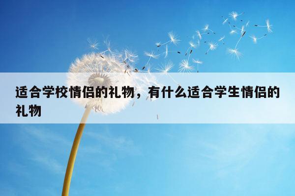 适合学校情侣的礼物，有什么适合学生情侣的礼物