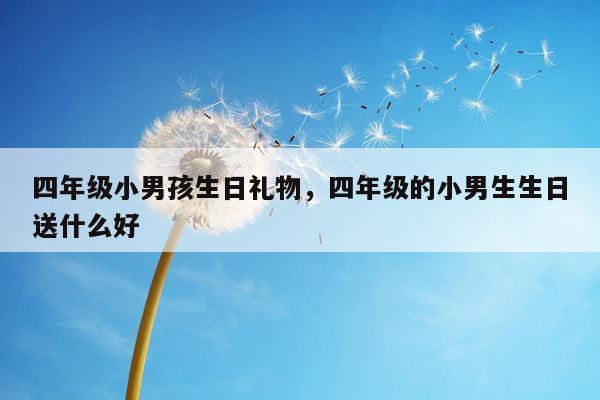 四年级小男孩生日礼物，四年级的小男生生日送什么好