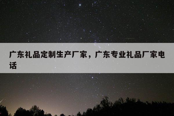 广东礼品定制生产厂家，广东专业礼品厂家电话