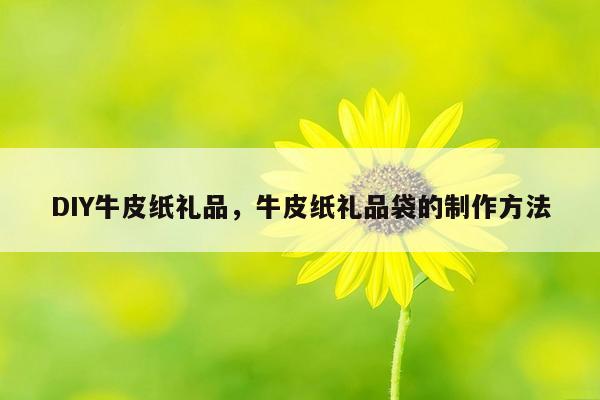 DIY牛皮纸礼品，牛皮纸礼品袋的制作方法