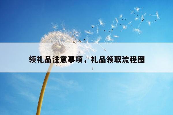 领礼品注意事项，礼品领取流程图