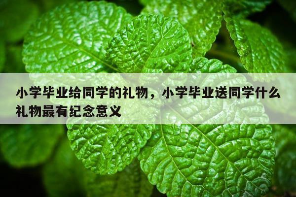 小学毕业给同学的礼物，小学毕业送同学什么礼物最有纪念意义