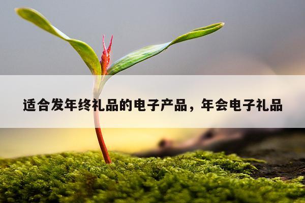 适合发年终礼品的电子产品，年会电子礼品