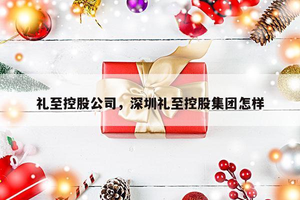 礼至控股公司，深圳礼至控股集团怎样