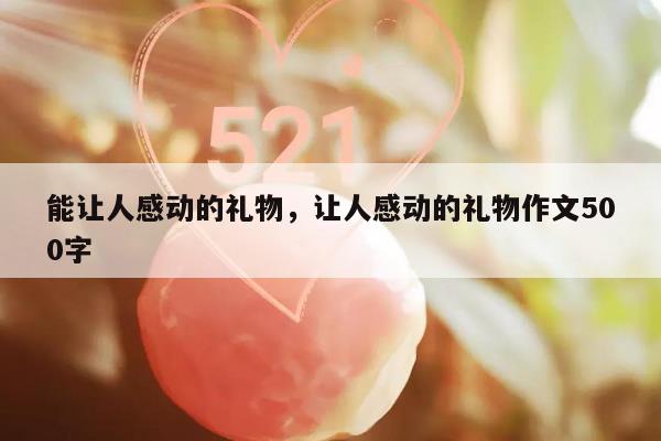 能让人感动的礼物，让人感动的礼物作文500字