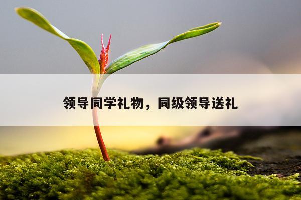 领导同学礼物，同级领导送礼