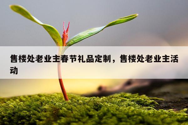 售楼处老业主春节礼品定制，售楼处老业主活动