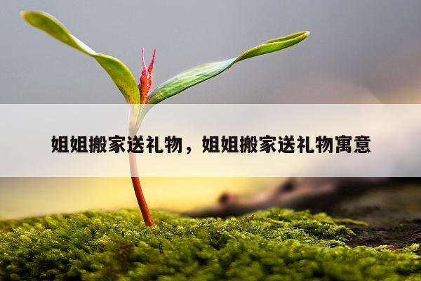 姐姐搬家送礼物，姐姐搬家送礼物寓意