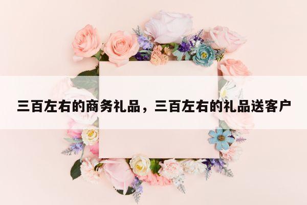三百左右的商务礼品，三百左右的礼品送客户