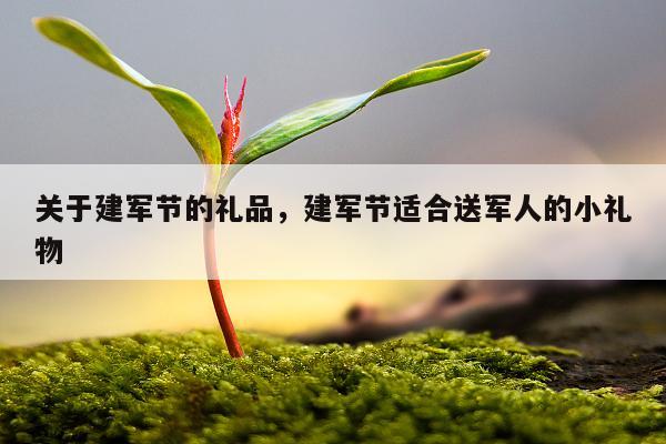关于建军节的礼品，建军节适合送军人的小礼物