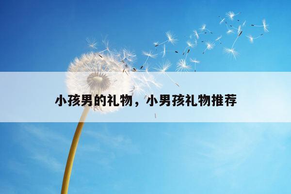 小孩男的礼物，小男孩礼物推荐