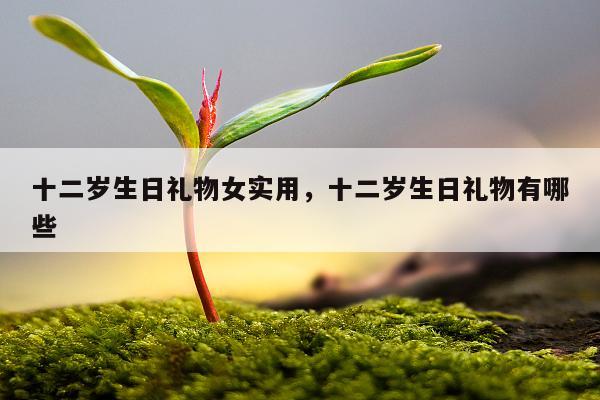 十二岁生日礼物女实用，十二岁生日礼物有哪些
