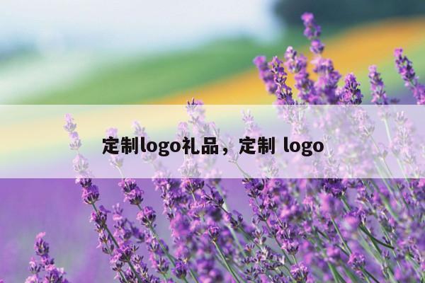 定制logo礼品，定制 logo