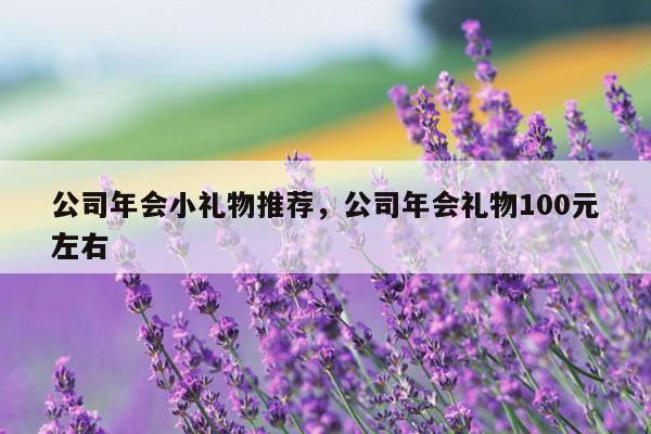 公司年会小礼物推荐，公司年会礼物100元左右
