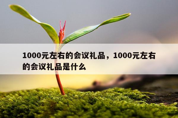 1000元左右的会议礼品，1000元左右的会议礼品是什么