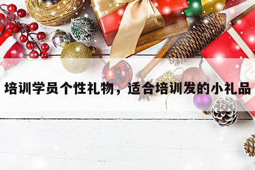 培训学员个性礼物，适合培训发的小礼品