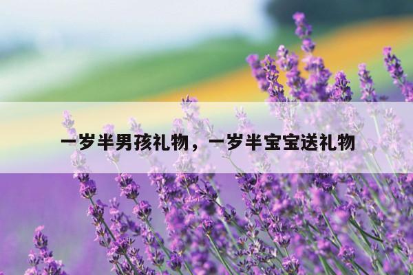 一岁半男孩礼物，一岁半宝宝送礼物