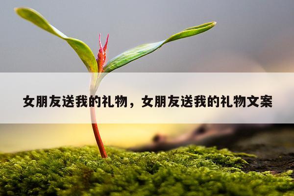 女朋友送我的礼物，女朋友送我的礼物文案