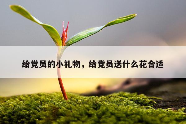 给党员的小礼物，给党员送什么花合适
