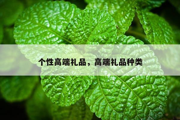 个性高端礼品，高端礼品种类