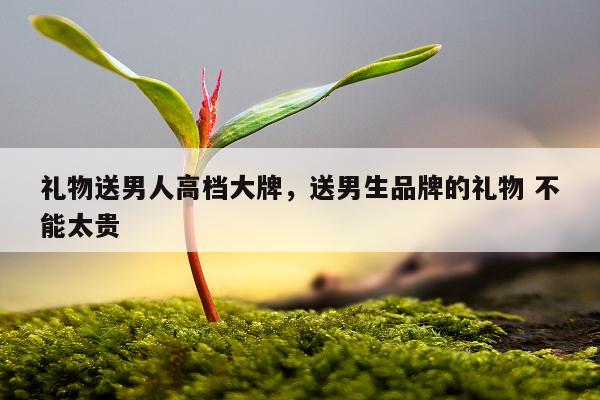 礼物送男人高档大牌，送男生品牌的礼物 不能太贵