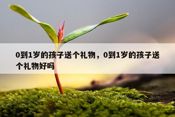0到1岁的孩子送个礼物，0到1岁的孩子送个礼物好吗