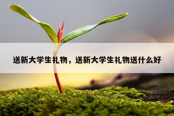 送新大学生礼物，送新大学生礼物送什么好