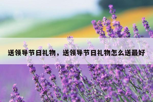 送领导节日礼物，送领导节日礼物怎么送最好
