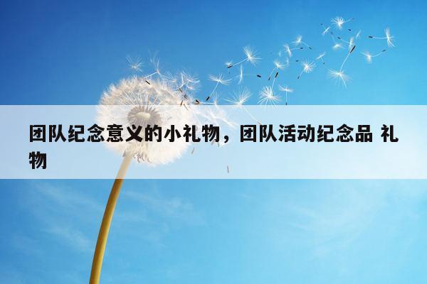 团队纪念意义的小礼物，团队活动纪念品 礼物