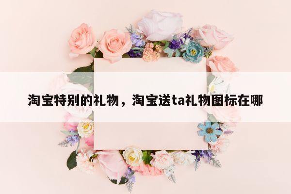 淘宝特别的礼物，淘宝送ta礼物图标在哪