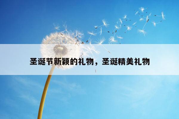 圣诞节新颖的礼物，圣诞精美礼物