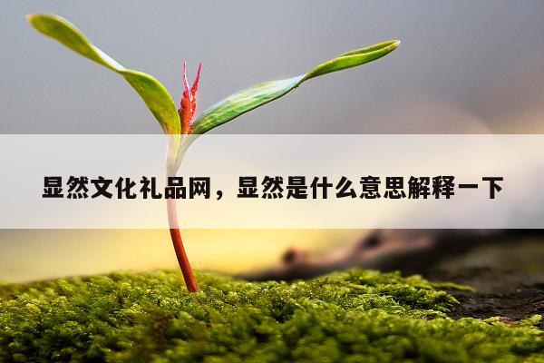 显然文化礼品网，显然是什么意思解释一下