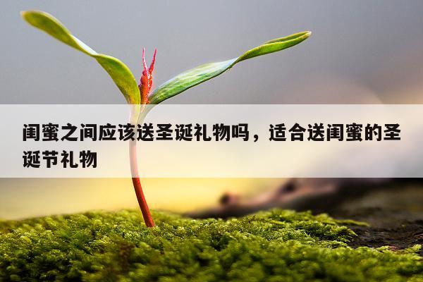 闺蜜之间应该送圣诞礼物吗，适合送闺蜜的圣诞节礼物