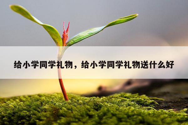 给小学同学礼物，给小学同学礼物送什么好