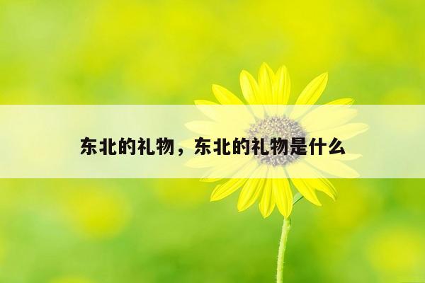 东北的礼物，东北的礼物是什么
