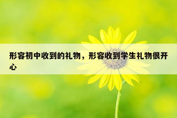形容初中收到的礼物，形容收到学生礼物很开心