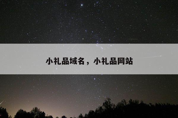 小礼品域名，小礼品网站