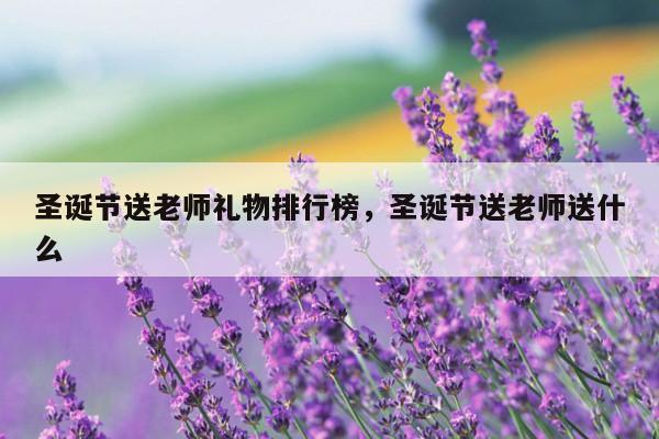 圣诞节送老师礼物排行榜，圣诞节送老师送什么