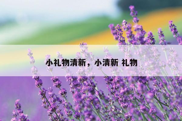 小礼物清新，小清新 礼物