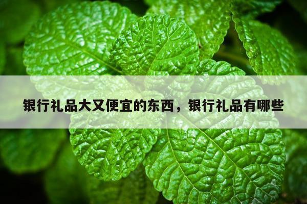 银行礼品大又便宜的东西，银行礼品有哪些