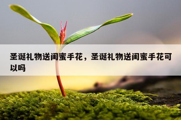 圣诞礼物送闺蜜手花，圣诞礼物送闺蜜手花可以吗