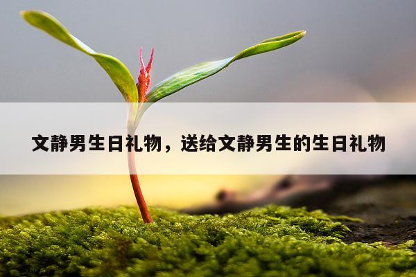 文静男生日礼物，送给文静男生的生日礼物