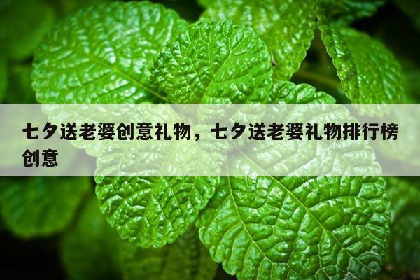 七夕送老婆创意礼物，七夕送老婆礼物排行榜创意