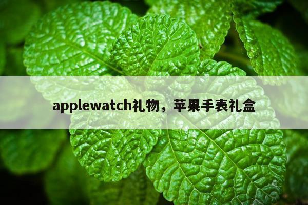 applewatch礼物，苹果手表礼盒