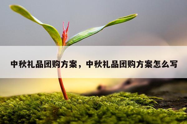 中秋礼品团购方案，中秋礼品团购方案怎么写