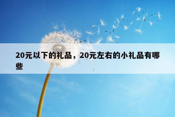 20元以下的礼品，20元左右的小礼品有哪些