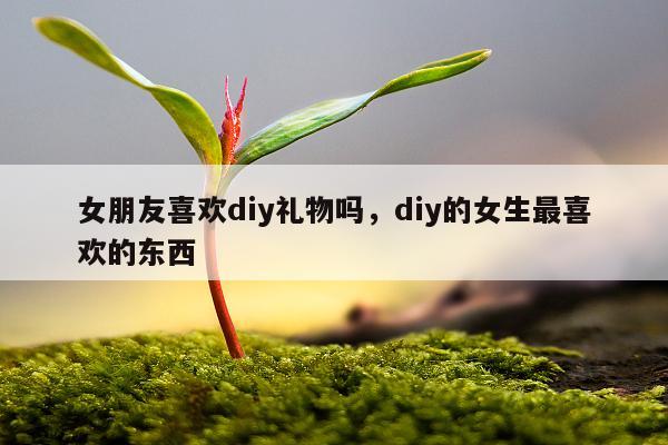 女朋友喜欢diy礼物吗，diy的女生最喜欢的东西