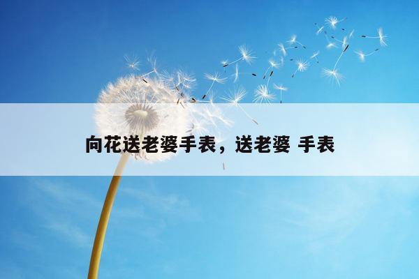 向花送老婆手表，送老婆 手表