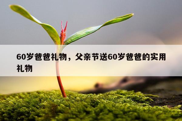 60岁爸爸礼物，父亲节送60岁爸爸的实用礼物